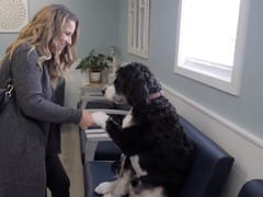 Kewaskum Family Dentistry