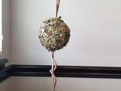 Kimberly Nguyen Family Dentistry