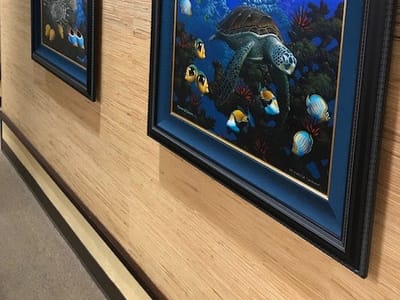 Kona Coast Dental Care