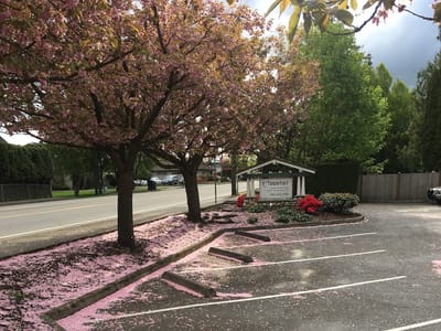 Koontz Dental-Enumclaw Dentist