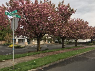 Koontz Dental-Enumclaw Dentist