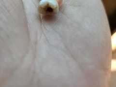 L'Anse Family Dental