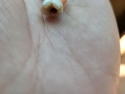 L'Anse Family Dental