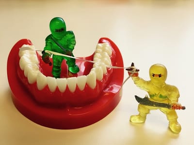 Lakes Region Dental Center Rebecca Berry, DMD