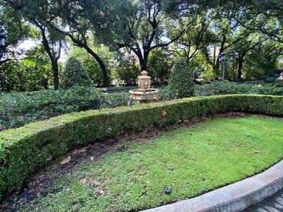 Lakeside Dental Care