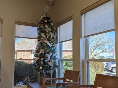 Leanne T. Smith, DDS