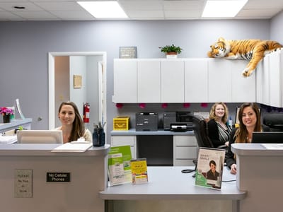 LeJeune Family Dentistry