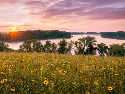 Litchfield Dental - Dentist in Litchfield MN