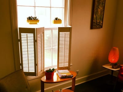 little house dentistry