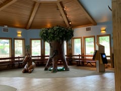 Little Smiles Dentistry