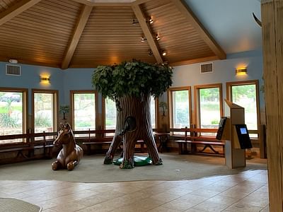 Little Smiles Dentistry