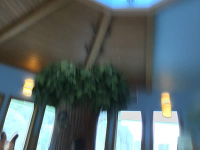 Little Smiles Dentistry