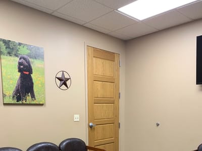 Little Smiles Dentistry