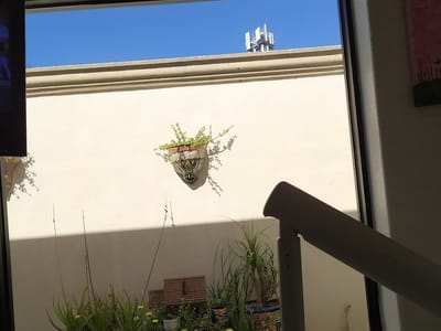 Los Ebanos Family Dentistry