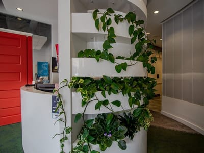 Lowry Main Street Dental