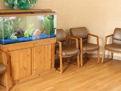 Lusk Family Dentistry: Jared Lusk, DDS