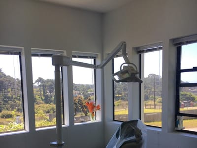 Mallory A. Stechishin, DDS