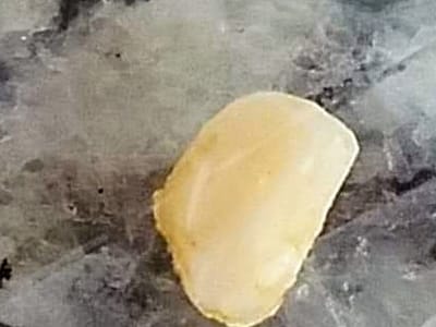 Mark N. Dye, DMD, LLC