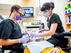 Mark S. Riederer, D.D.S.