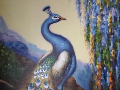 Mark W. Sheppard D.D.S.