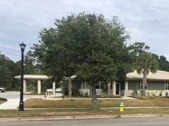 Market Common Dentistry