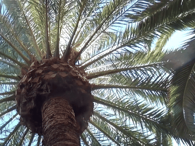 Market Place Dentistry