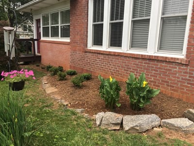 Merrell Family Dentistry