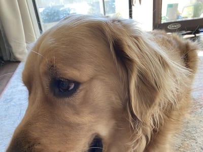 Metro Dentalcare Albertville