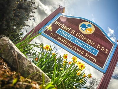 Michael D. Gillespie, DDS