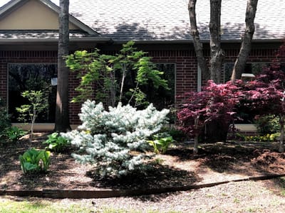 Michael D Hampton Family Dentistry