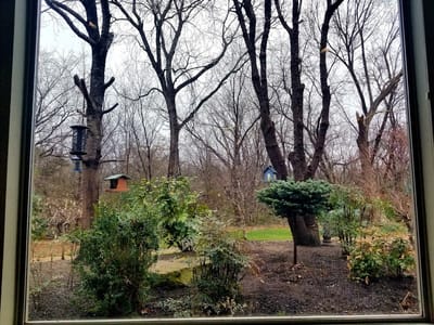 Michael D Hampton Family Dentistry