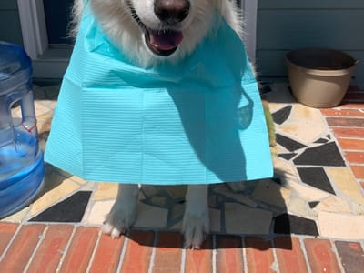 Midland Dentistry 4 Kids