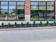 Millard Family Dentistry