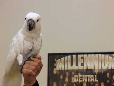 Millennium Dental - Las Vegas
