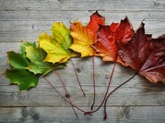 Miller Dental Jamestown