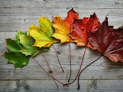 Miller Dental Jamestown