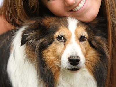 Milwaukie Family Dentistry , Thomas Bachhuber Jr DMD