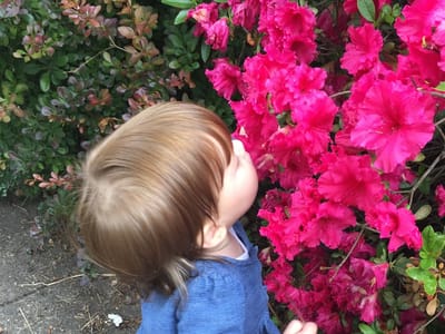 Milwaukie Family Dentistry , Thomas Bachhuber Jr DMD