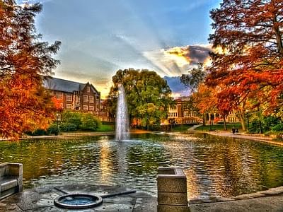 Mirror Lake Family Dentistry