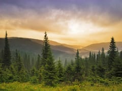 Mogollon Family Dentistry