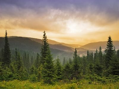 Mogollon Family Dentistry