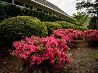 Monrovia Family Dentistry