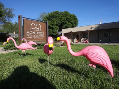 Montrose Family Dental - Daniel K. Drakulich, DDS