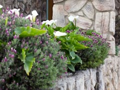 Morro Bay Family Dentistry - Sorina Ratchford DDS