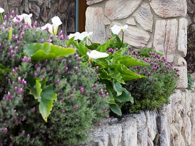 Morro Bay Family Dentistry - Sorina Ratchford DDS