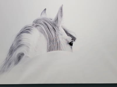 Mountain Family Dentistry - Quality Crowns, Dentures, and Braces