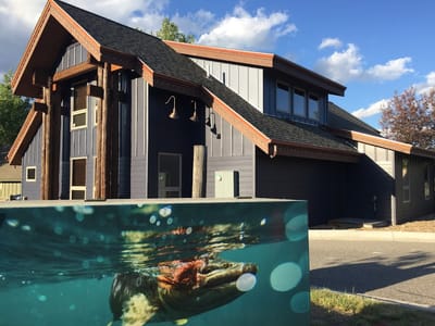 Mountain Pearls Dentistry