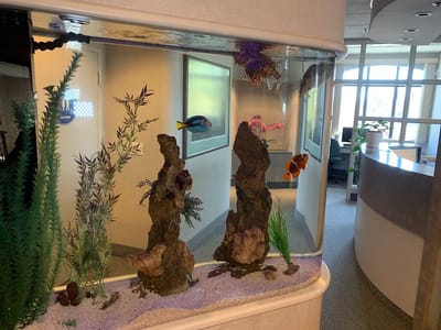 My Milpitas Dentist, The Dental Office of Dr. Anthony Yen, DMD