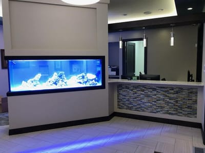 Neal C. Johnson DMD - The Billings Dentist