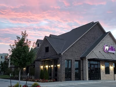 Nellis Family Dentistry: Nicole A. Nellis, DDS